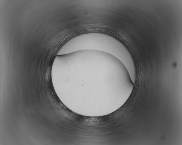 X0000116510125201001061231