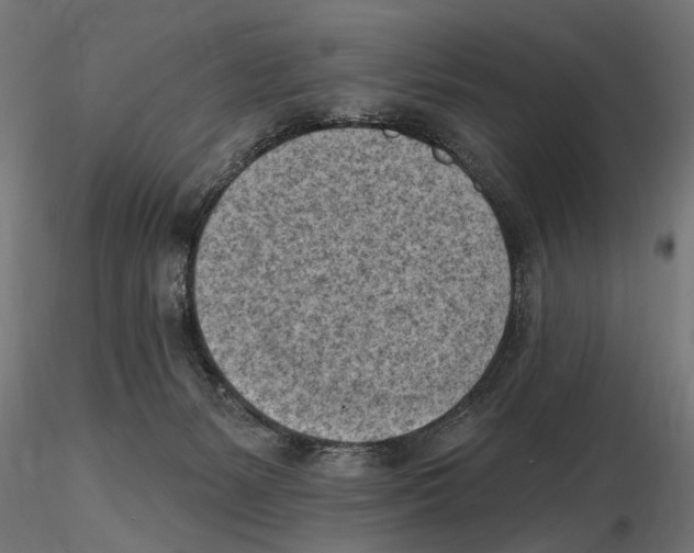 X0000116510127201001061231