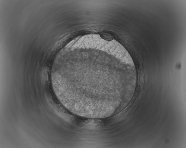 X0000116510128201001061231