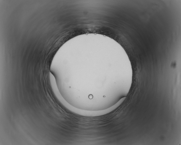 X0000116510129201001061231