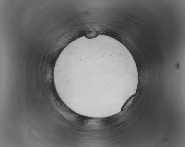 X0000116510132201001061231