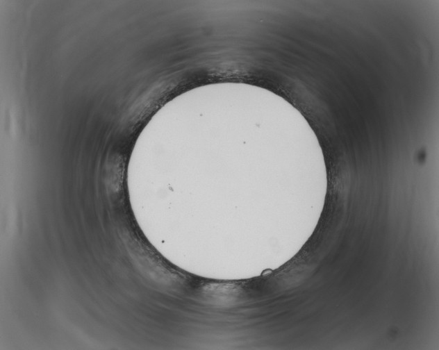 X0000116510133201001061231