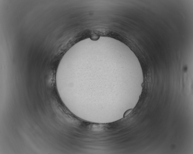 X0000116510134201001061231