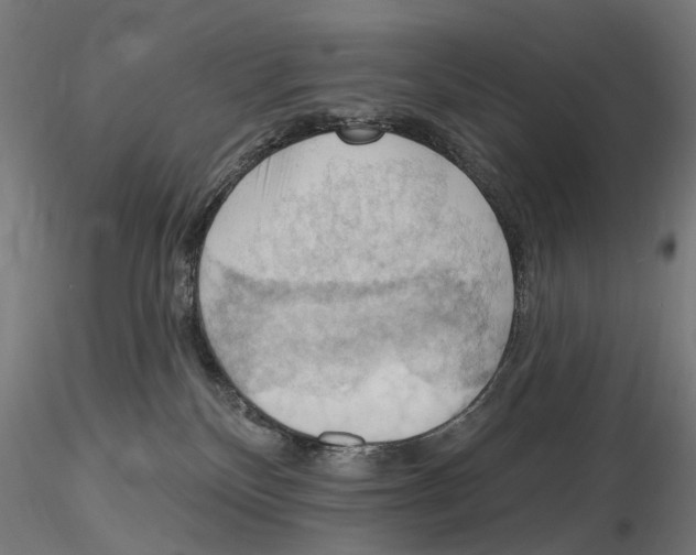 X0000116510136201001061231
