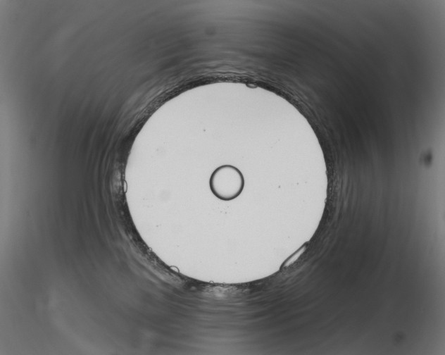 X0000116510137201001061231