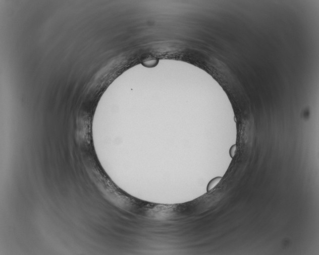X0000116510138201001061231
