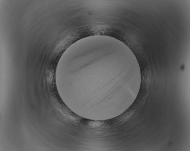 X0000116510139201001061231