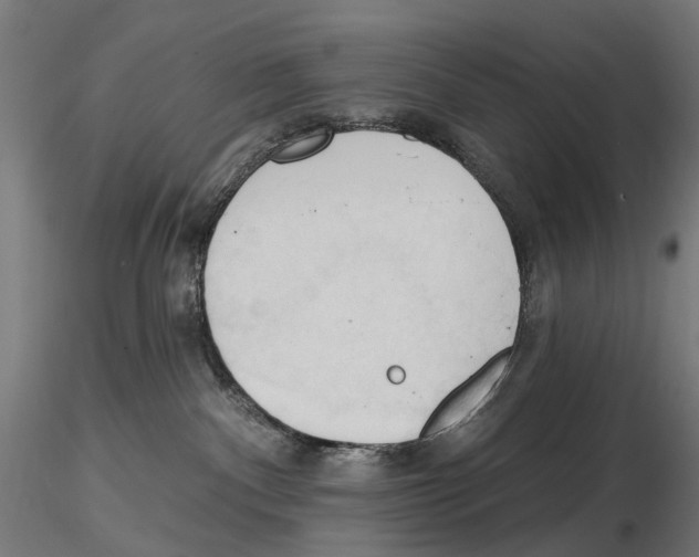 X0000116510140201001061231
