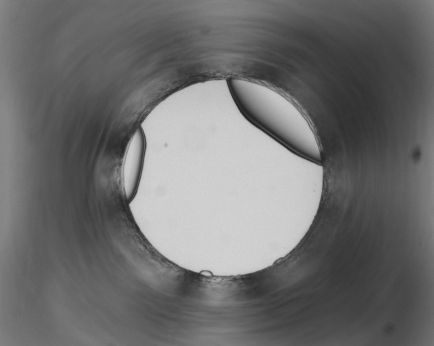 X0000116510141201001061231