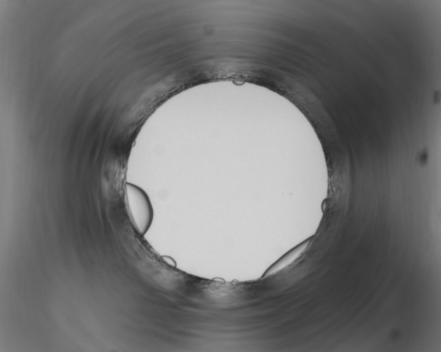 X0000116510142201001061231