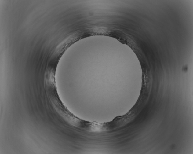 X0000116510143201001061231