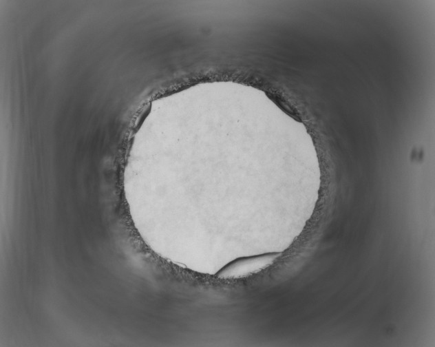 X0000116510144201001061231