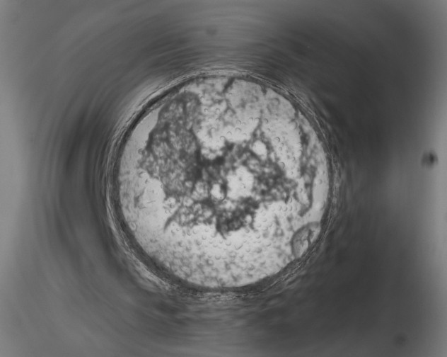 X0000116510145201001061230