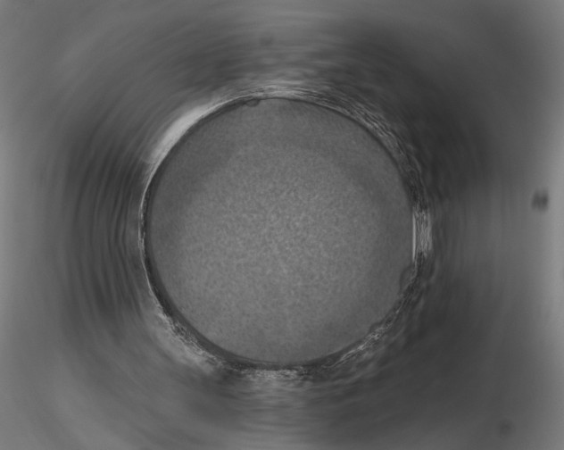 X0000116510147201001061230