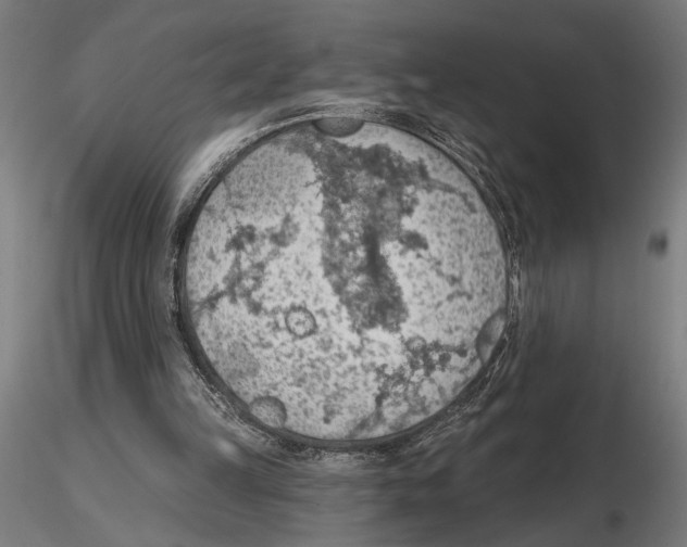 X0000116510149201001061230