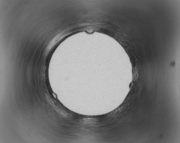 X0000116510150201001061230