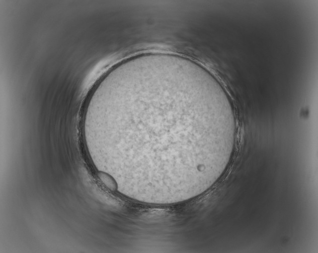 X0000116510151201001061230