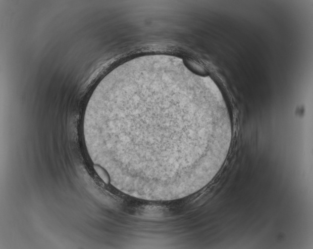 X0000116510154201001061230