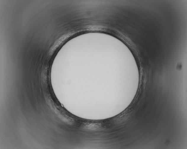 X0000116510155201001061230
