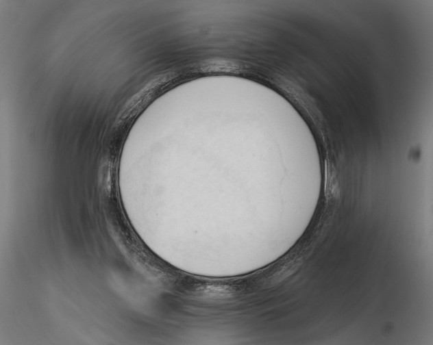 X0000116510157201001061230