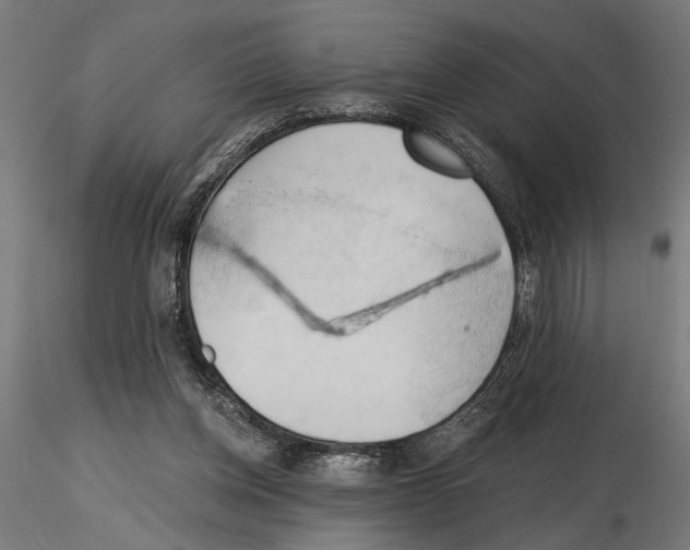 X0000116510158201001061230