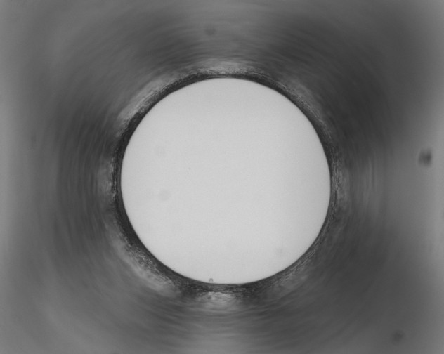 X0000116510159201001061230