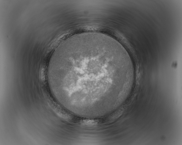 X0000116510161201001061230
