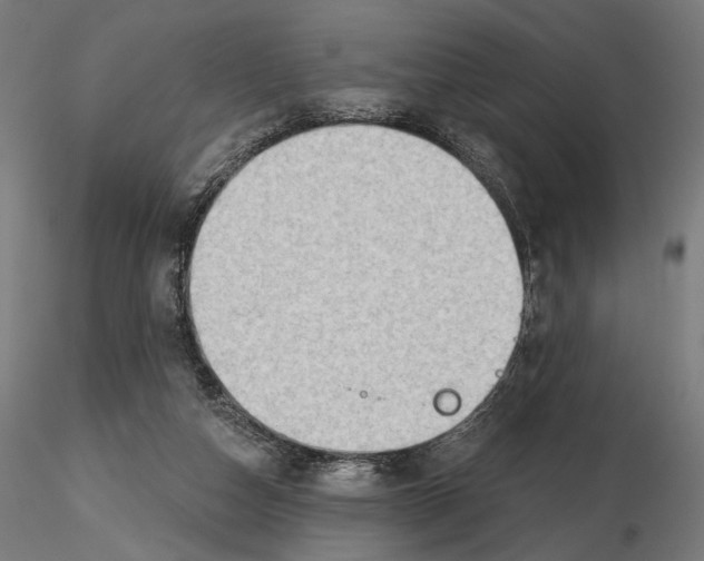 X0000116510162201001061230