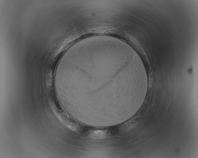 X0000116510163201001061230
