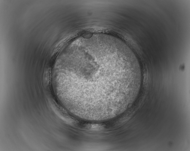 X0000116510165201001061230