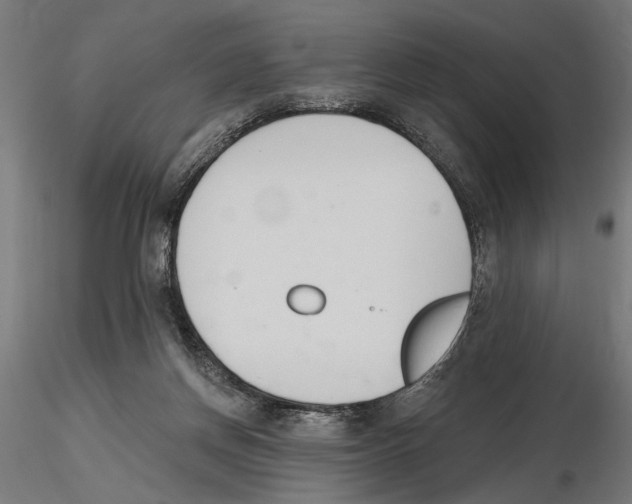 X0000116510166201001061230