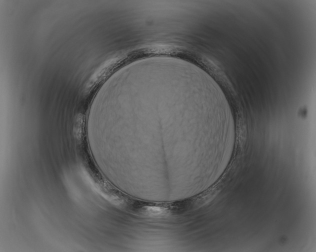 X0000116510167201001061230