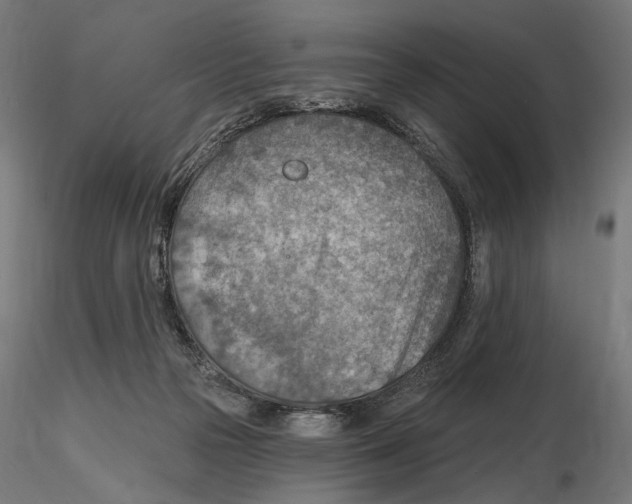 X0000116510169201001061230
