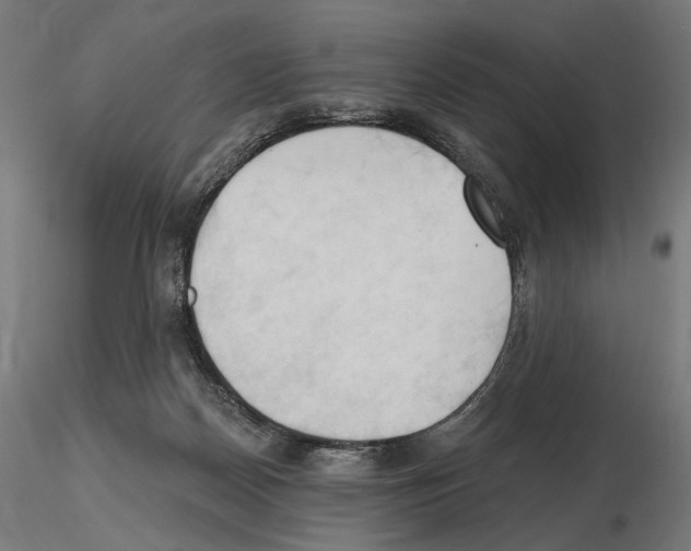X0000116510170201001061230