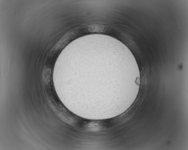 X0000116510171201001061230