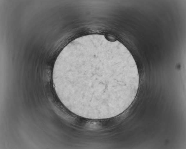 X0000116510174201001061230