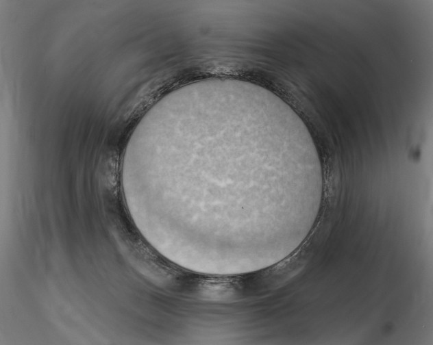 X0000116510175201001061230