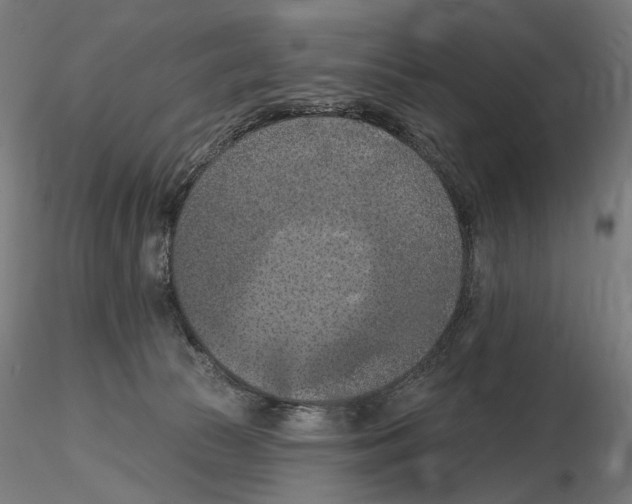 X0000116510177201001061230