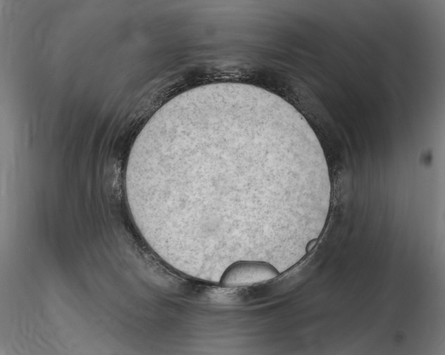 X0000116510178201001061230
