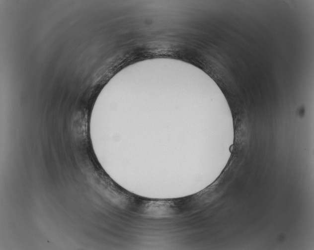 X0000116510179201001061230