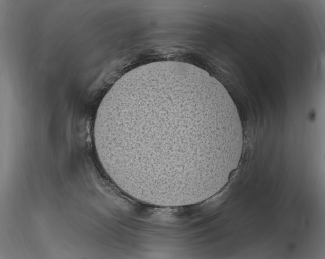 X0000116510182201001061231