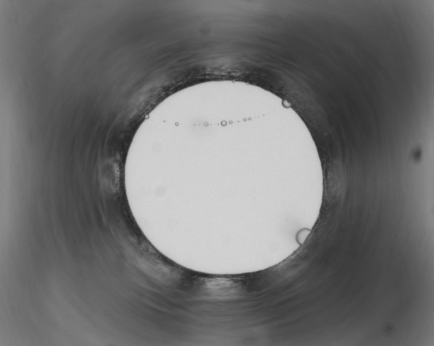 X0000116510183201001061231