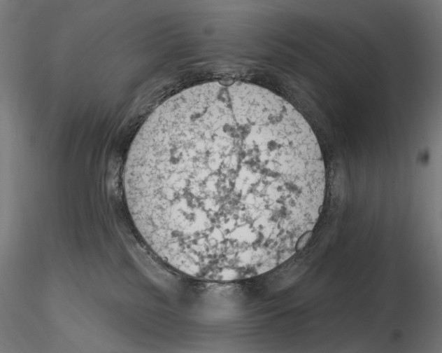 X0000116510185201001061231