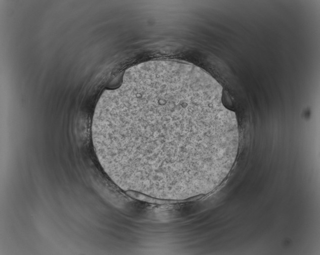 X0000116510186201001061231