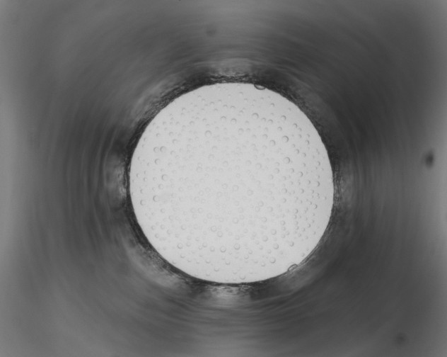 X0000116510187201001061231