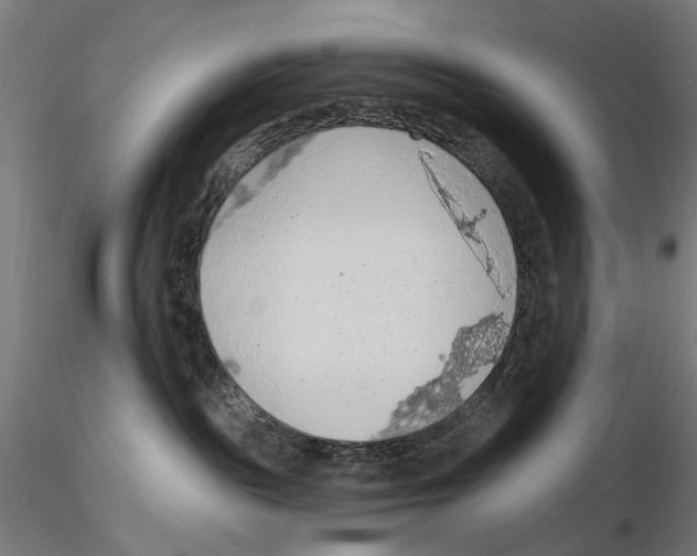 X0000116510189201001061231