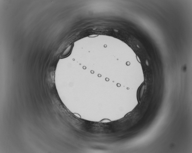 X0000116510190201001061231