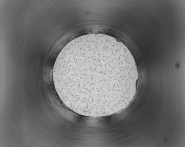 X0000116510191201001061231