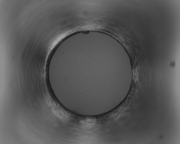 X0000116510196201001061230