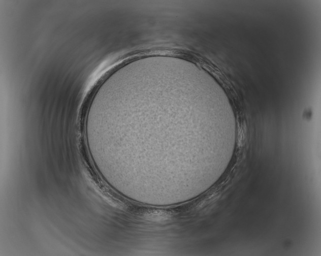 X0000116510198201001061230